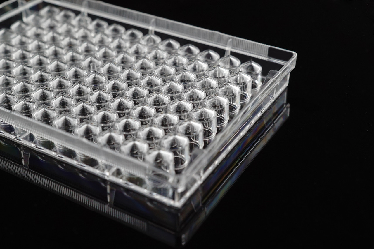 Clear polystyrene 96-well cell culture plate with V-bottom wells, shown at an angle.