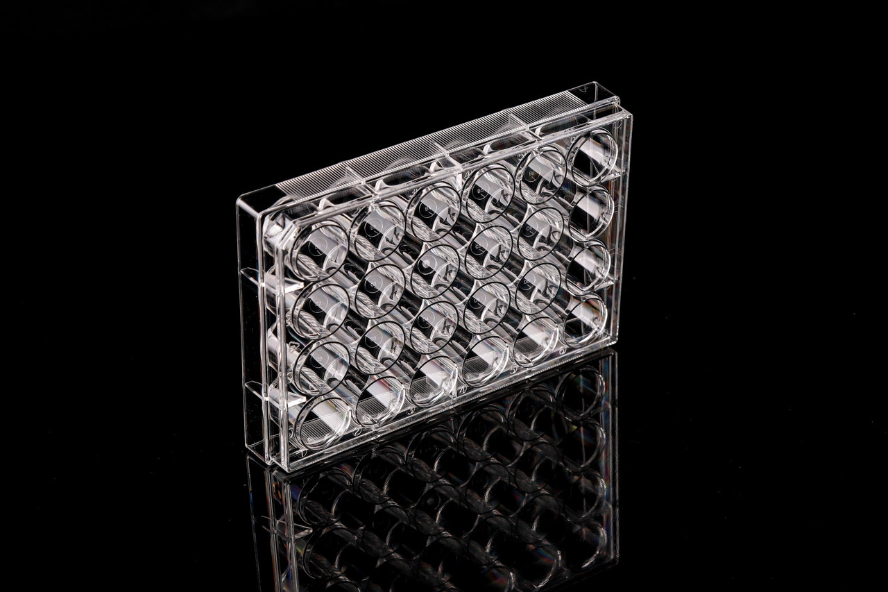 24 Well Cell Culture Plate, Flat, TC, Sterile, Individually plastic wrapped, 1/pk, 50/cs