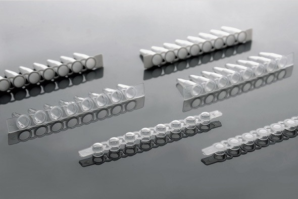 Several clear and white 0.2 mL plastic PCR 8-strip tubes displayed at angles on a surface.