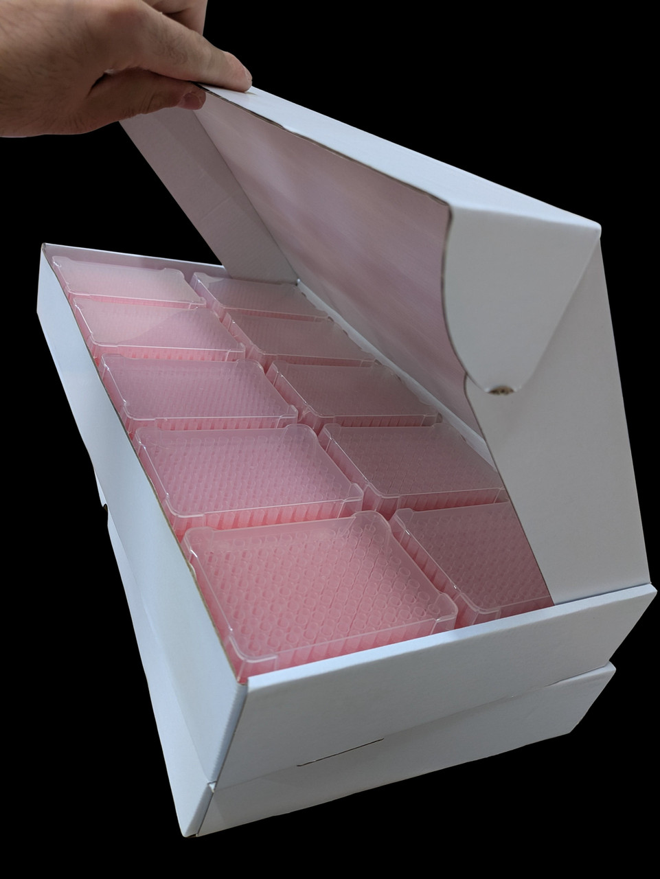 RecoverMAX  0.5-20uL LTS Filtered Pipette Tips - Sterile, Standard Retention, RNase/DNase-Free, Racked, Batch-Consistent (4800/case)