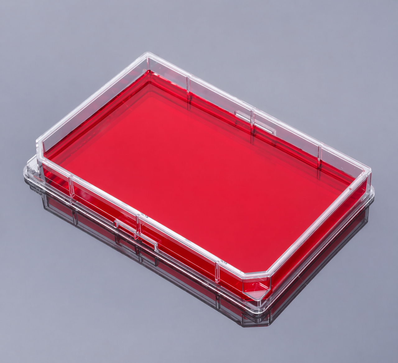CellMAX™ Single Well Cell Culture Plate, Flat Bottom, Sterile, Clear Lid, TC Treated, Individually-packaged, 86 cm² Growth Area, 50/cs