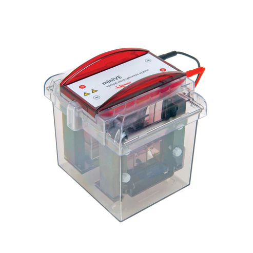 Hoefer SE300 miniVE Integrated Vertical Protein Electrophoresis (Basic unit)