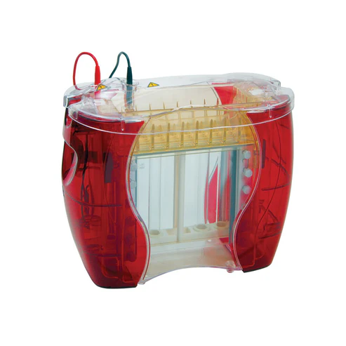 Hoefer SE600X Chroma Deluxe Dual Cooled Vertical Protein Electrophoresis Unit (Basic unit)