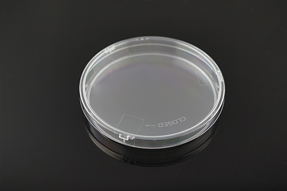 Clear plastic NEST Scientific petri dish with safety lock, viewed from above against a black surface.