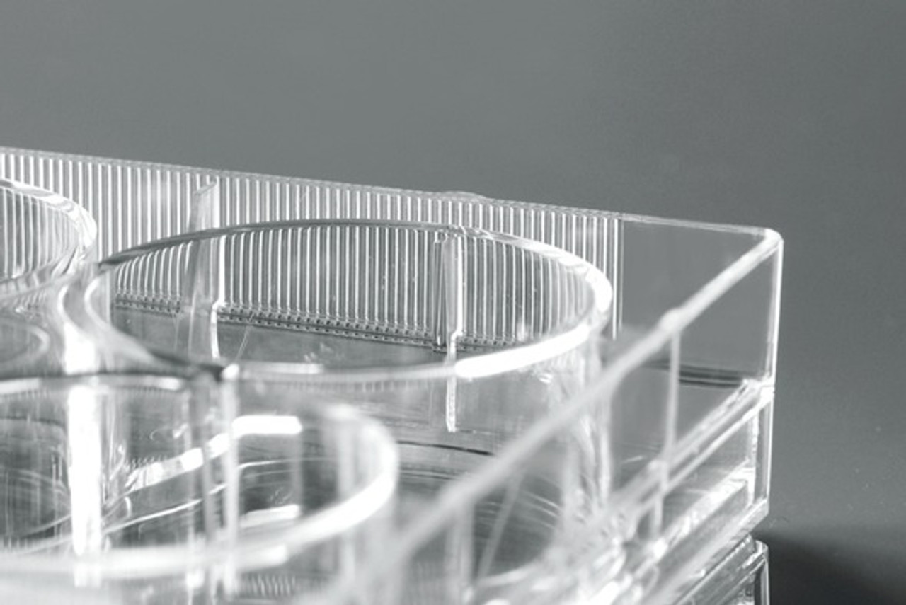 12 Well Cell Culture Plate, Flat, TC Treated, sterile 1/pk, 50/cs 12 Well Cell Culture Plate, Flat, TC Treated, sterile 1/pk, 50/cs