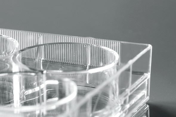 Close-up view of a clear plastic NEST cell culture plate, showing ribbed cylindrical wells inside a rectangular frame.
