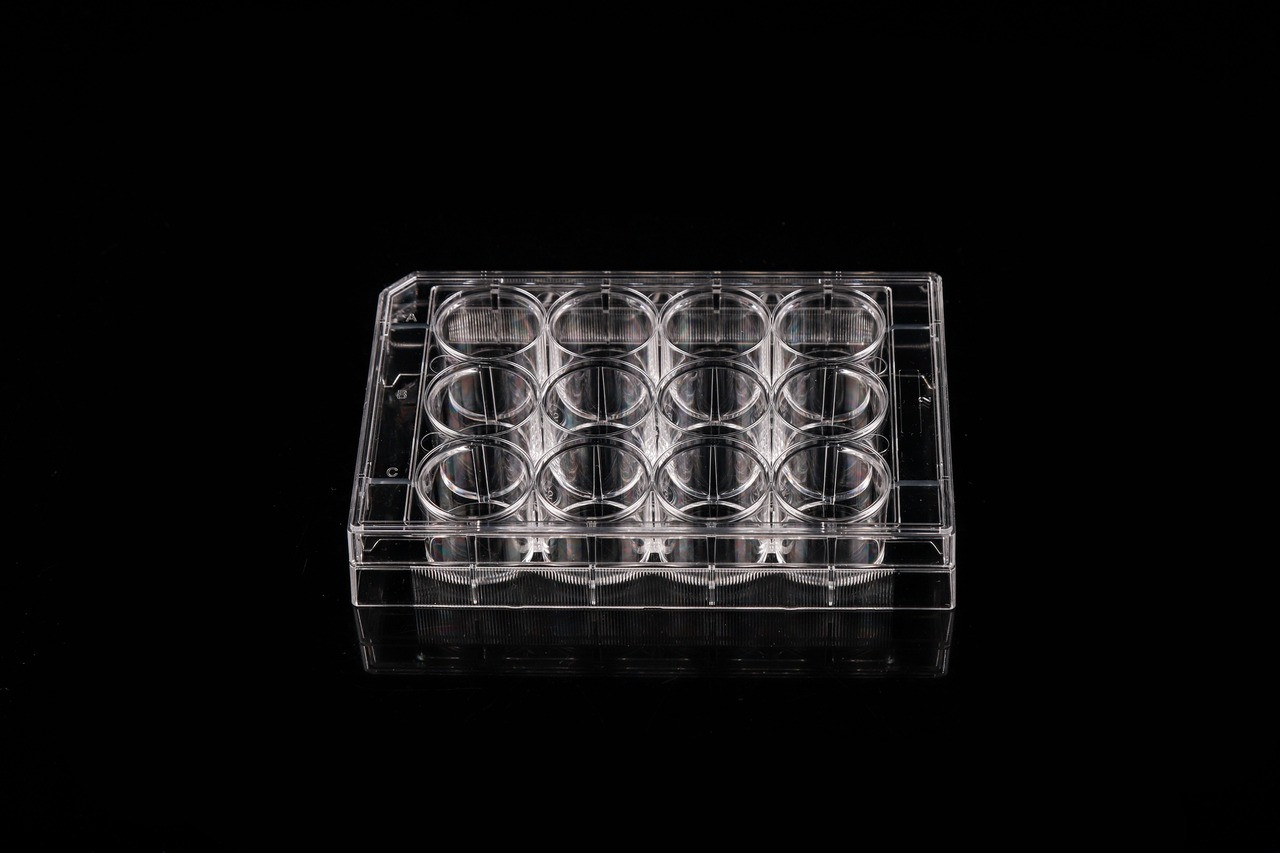 Clear plastic 12-well cell culture plate on a black reflective surface.