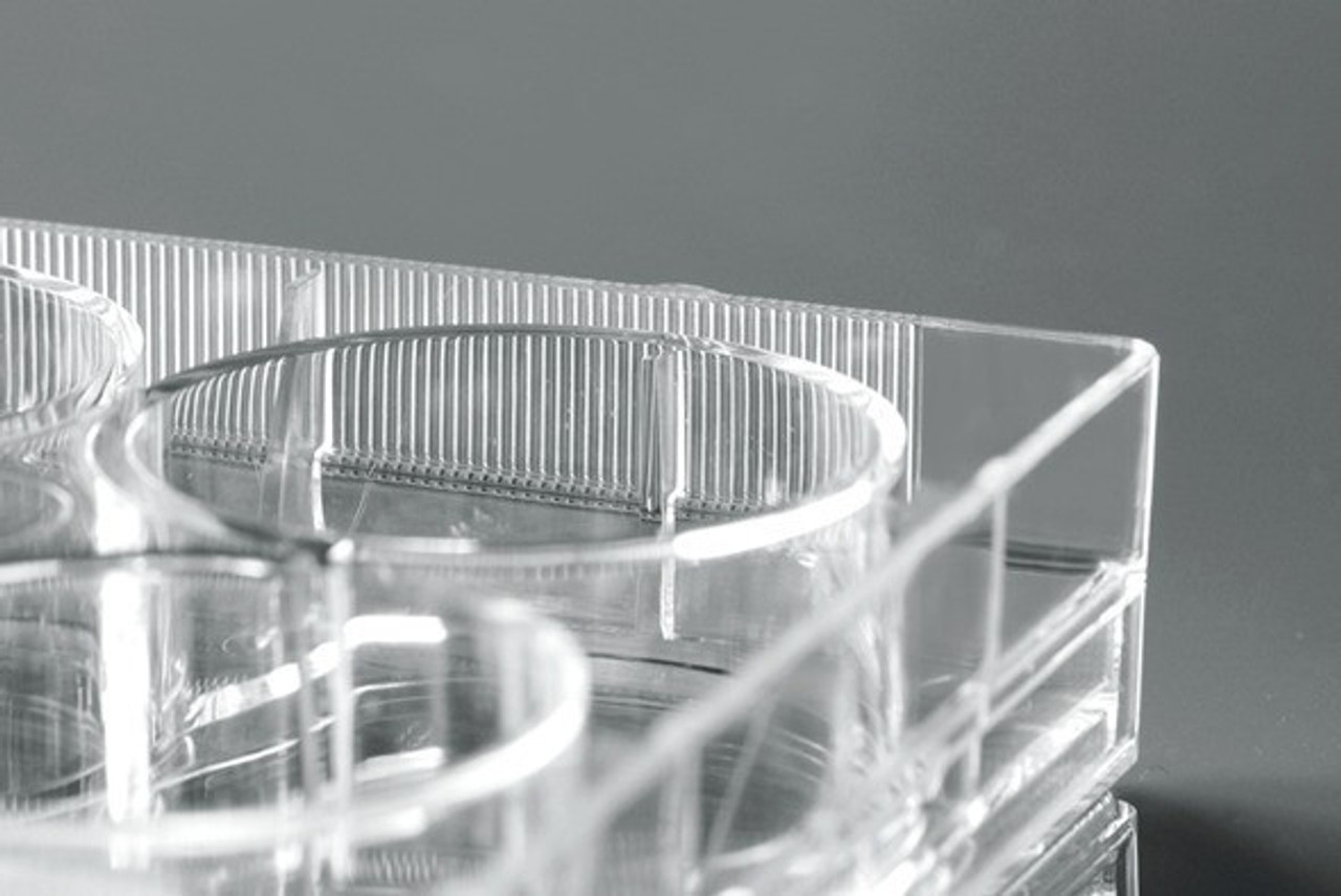 12 Well Cell Culture Plate, Flat, TC, Sterile, Individually plastic wrapped, 1/pk, 50/cs 12 Well Cell Culture Plate, Flat, TC, Sterile, Individually plastic wrapped, 1/pk, 50/cs