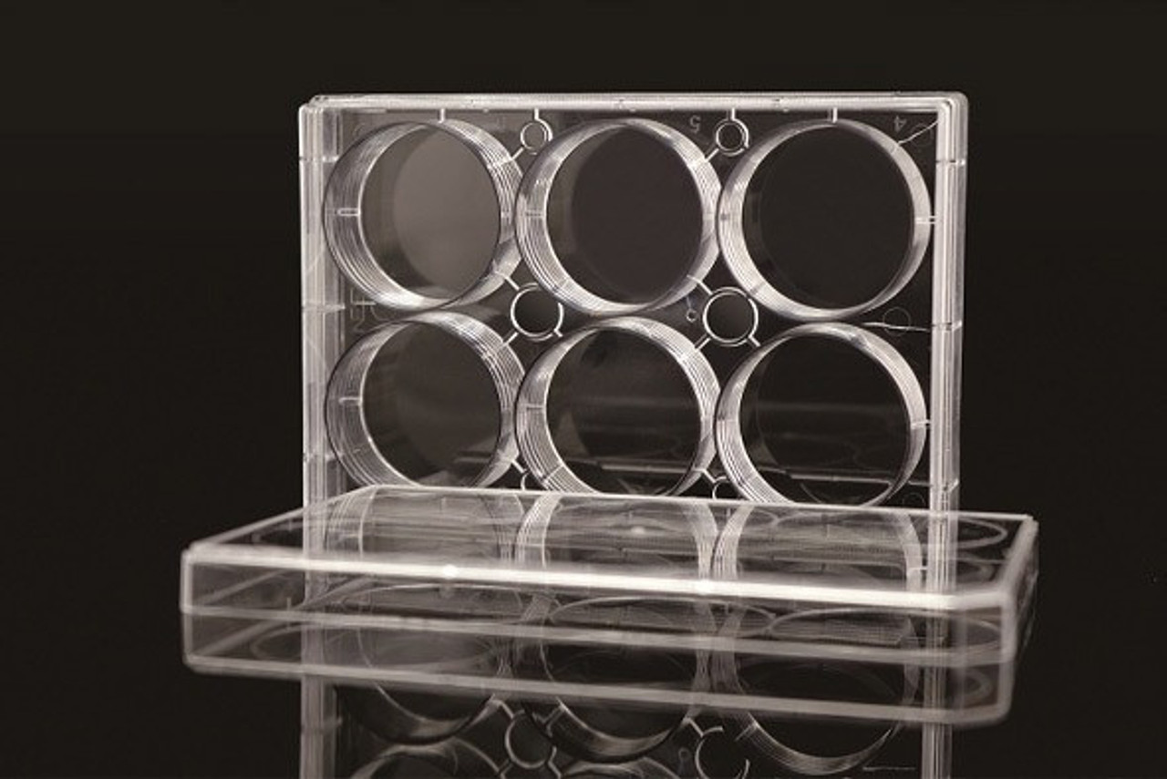 6  Well Low Evap EDGE Plate, Flat Bottom, TC, Sterile, 1/pk, 50/cs 6  Well Low Evap EDGE Plate, Flat Bottom, TC, Sterile, 1/pk, 50/cs