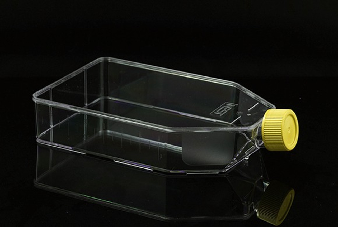 225cm2 Cell Culture Flask, Plug Seal Cap, Non-Treated, sterile, Maximum Working Volume 950mL, 5/pk, 25/cs