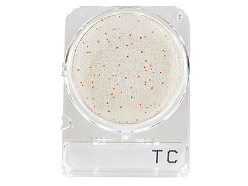 Hardy Diagnostics CompactDry™ Total Bacterial Plate Count (TC) Plates, 240 Plates/Pack