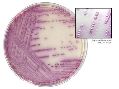 HardyCHROM™ Salmonella Plates, an effective chromogenic screen of all Salmonella spp., 15x100mm plate, 10 plates/pack