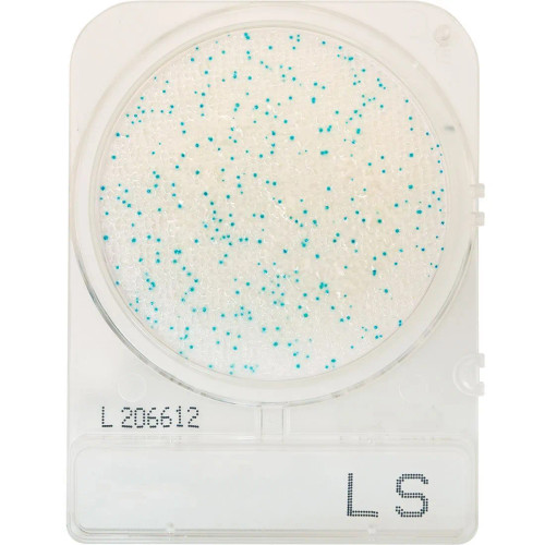 Hardy Diagnostics Listeria