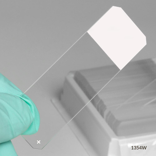 Gloved hand holding a clear microscope slide with white frosted end and beveled corners.