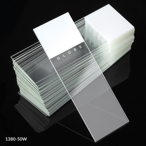 Stack of clear glass microscope slides with white frosted ends, one angled in front showing the "GLOBE" brand.