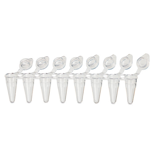 Clear plastic 0.1mL 8-strip PCR tubes with individually attached flat caps open at a 45-degree angle.