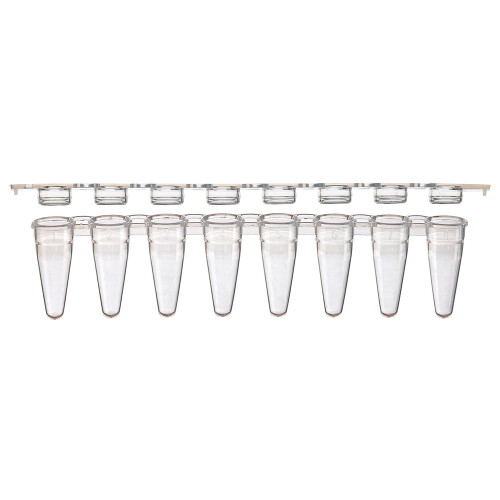 Clear 0.1mL 8-strip PCR tubes with separate matching flat cap strip below them.