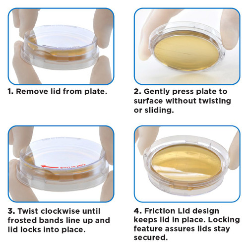 Four-step instructional guide showing gloved hands using a clear plastic contact plate with yellowish agar.
