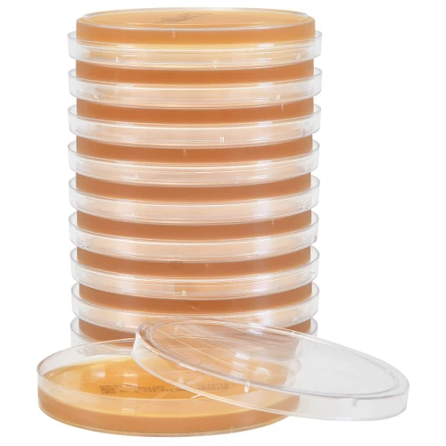A stack of ten clear plastic Petri dishes filled with brownish agar, with one open plate in front.