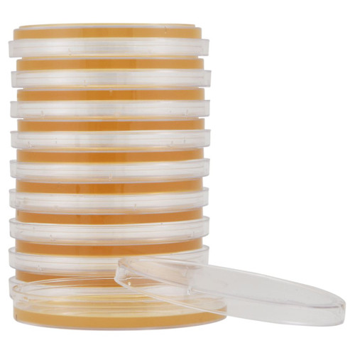 A vertical stack of ten clear plastic Petri dishes filled with yellow Mycoplasma agar, with one dish resting in front.
