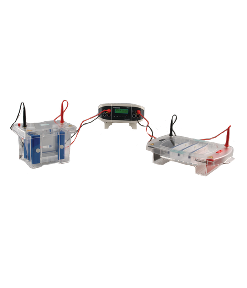 Labnet Enduro 250V power supply connected to two clear plastic gel electrophoresis chambers with colored leads.