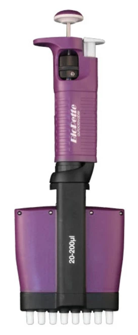 Purple and black Labnet BioPette A 8-channel pipettor standing upright against a white background.