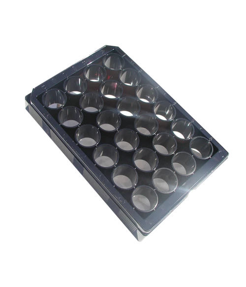Black plastic 24-well microplate with clear bottom wells viewed from an angled perspective.