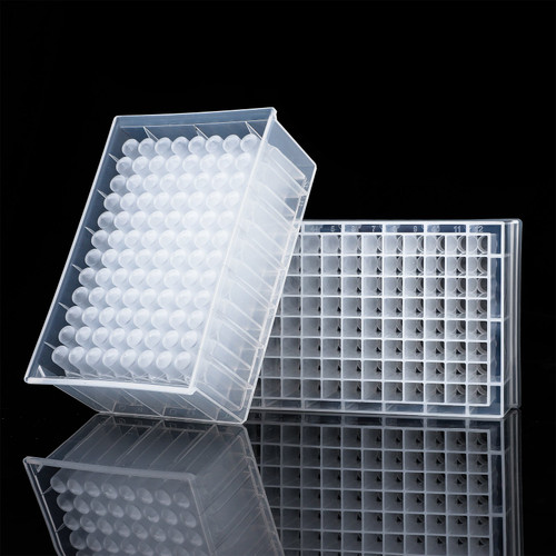 Two 96-well deep well plates made of transparent polypropylene, showing V-shaped bottom wells and alphanumeric grid labels.