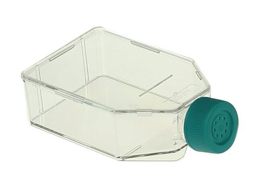 Clear plastic T25 cell culture flask with an angled neck and a teal vented cap.