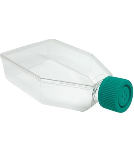 Clear plastic cell culture flask with an angled neck and a teal green vented screw cap.