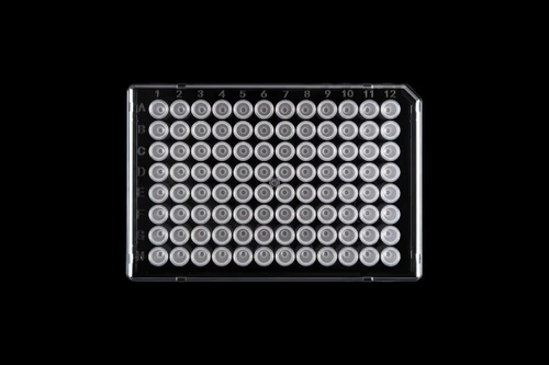 Top-down view of a clear 96-well half-skirted PCR plate on a black background.