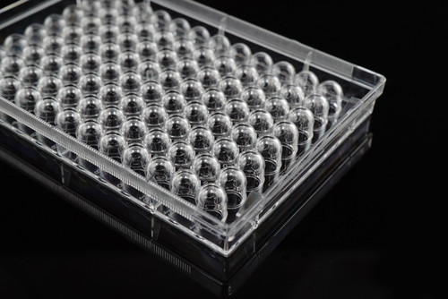 Clear polystyrene 96-well cell culture plate with U-bottom wells, shown at an angle.