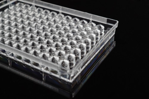 Clear polystyrene 96-well cell culture plate with V-bottom wells, shown at an angle.