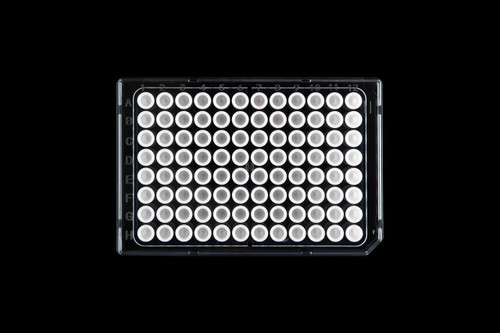NEST Scientific 96-well half-skirted PCR plate with clear frame and white wells, top-down view.