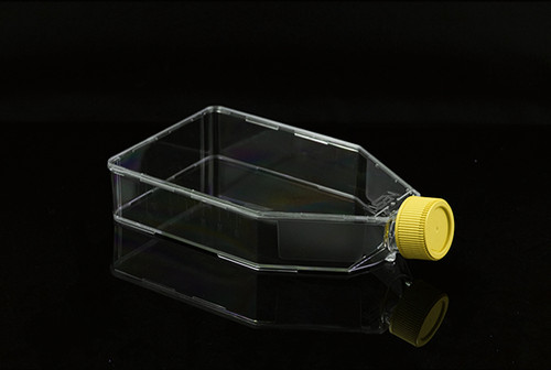 Clear plastic cell culture flask with a yellow screw cap, angled for growth, on a reflective black surface.