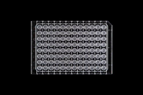 Top-down view of a clear 96-well half-skirted PCR plate with alphanumeric grid markings against a black background.