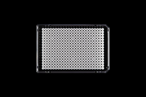 Top-down view of a clear-framed 384-well PCR plate with white wells and alphanumeric grid markings.