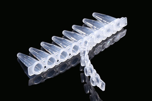 Clear plastic 8-strip PCR tubes and attached caps with an angled reflective view.
