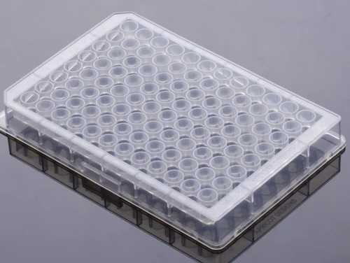 Clear plastic 96-well deep well plate viewed from a high-angle perspective, showing round V-bottom wells.