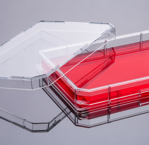 CellMAX™ Single Well Cell Culture Plate, Flat Bottom, Sterile, Clear Lid, TC Treated, Individually-packaged, 86 cm² Growth Area, 50/cs