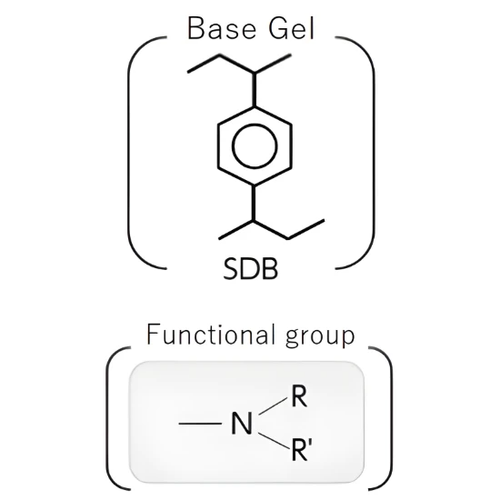 Chemical structure diagram of SDB base gel and a weak anion-exchange functional group.