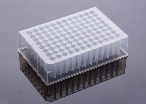 A translucent 96-well deep well plate sitting on a reflective surface, angled to show its grid and round wells.