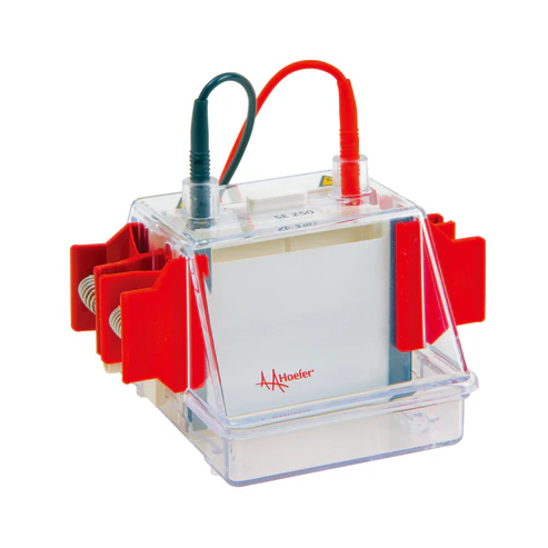 Hoefer SE250 Mighty Small II Mini Vertical Protein Electrophoresis Unit (Complete unit with 1.0mm)