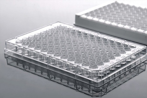 Clear plastic 96-well ELISA plates shown at an angled perspective on a reflective surface.