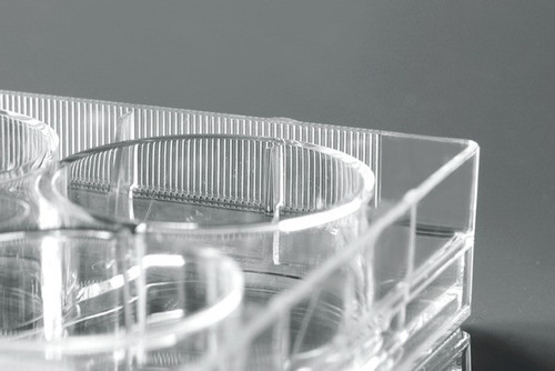 Clear plastic 12-well cell culture plate corner, showing high clarity walls.