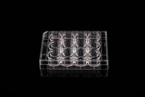 Clear plastic 12-well cell culture plate on a black reflective surface, viewed from a slightly elevated angle.