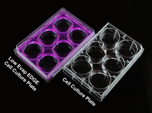 Two clear plastic 6-well cell culture plates on a black surface, one filled with purple liquid.