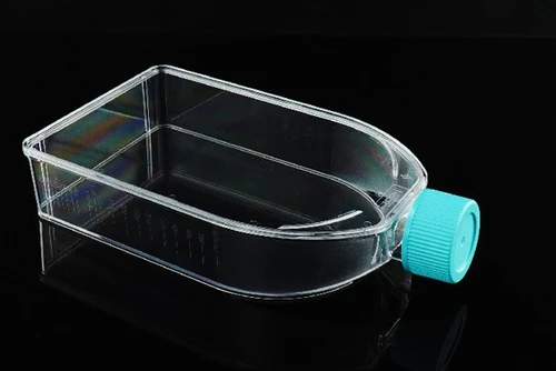 Clear plastic 150cm² cell culture flask with a wide U-shaped body and turquoise plug seal cap.
