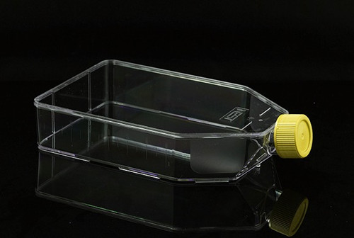 Clear polystyrene 225cm2 cell culture flask with a yellow plug seal cap, angled view on black.