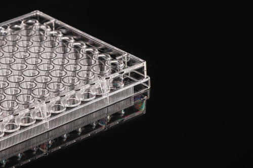 Clear plastic 96-well cell culture plate on a black reflective surface, viewed at an angle.